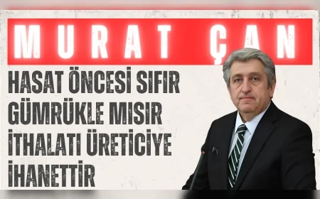 CHP Samsun Milletvekili Murat Çan: "Hasat öncesi sıfır gümrükle mısır ithalatı üreticiye ihanettir"