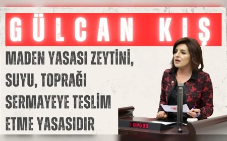 CHP’li Gülcan Kış: “Maden yasası zeytini, suyu, toprağı sermayeye teslim etme yasasıdır”