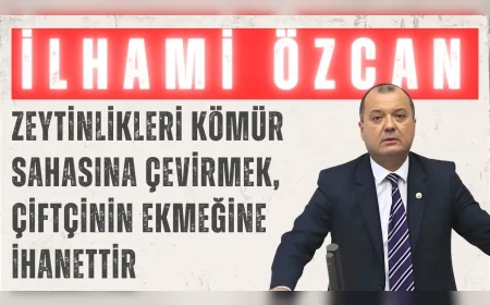 CHP’li İlhami Özcan Aygun: “Zeytinlikleri kömür sahasına çevirmek, çiftçinin ekmeğine ihanettir”