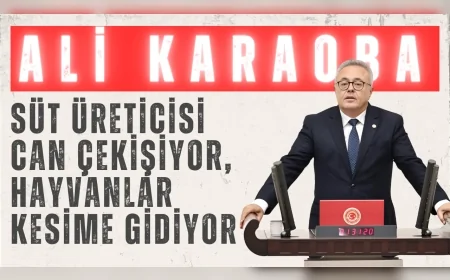 CHP’li Ali Karaoba: "Süt üreticisi can çekişiyor, hayvanlar kesime gidiyor"