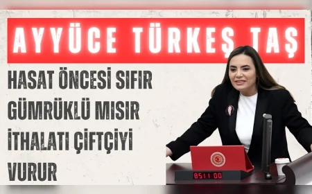 İYİ Partili Ayyüce Türkeş Taş: “Hasat öncesi sıfır gümrüklü mısır ithalatı çiftçiyi vurur”