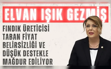 CHP Milletvekili Elvan Işık Gezmiş: "Fındık üreticisi taban fiyat belirsizliği ve düşük destekle mağdur ediliyor"