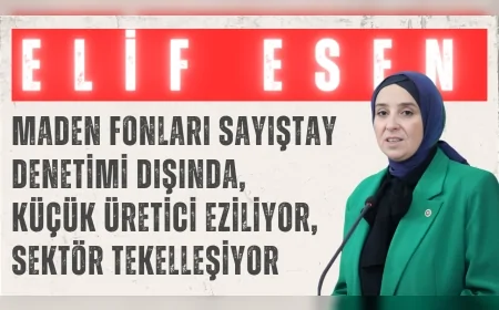 DEVA Partili Elif Esen: “Maden fonları Sayıştay denetimi dışında, küçük üretici eziliyor, sektör tekelleşiyor”