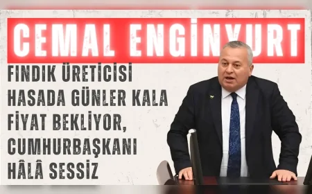 CHP’li Enginyurt: “Fındık üreticisi hasada günler kala fiyat bekliyor, Cumhurbaşkanı hâlâ sessiz”