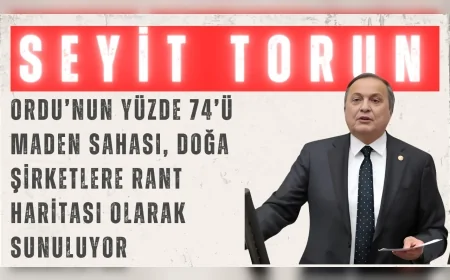 CHP'li Seyit Torun: "Ordu’nun yüzde 74’ü maden sahası, doğa şirketlere rant haritası olarak sunuluyor"