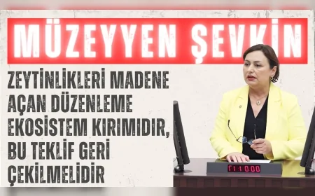 CHP’li Müzeyyen Şevkin: “Zeytinlikleri madene açan düzenleme ekosistem kırımıdır, bu teklif geri çekilmelidir”