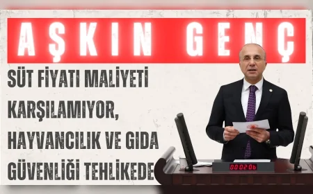 CHP'li Aşkın Genç: "Süt fiyatı maliyeti karşılamıyor, hayvancılık ve gıda güvenliği tehlikede"