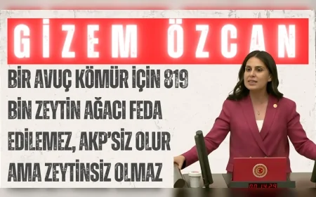 CHP’li Gizem Özcan: “Bir avuç kömür için 819 bin zeytin ağacı feda edilemez, AKP’siz olur ama zeytinsiz olmaz”