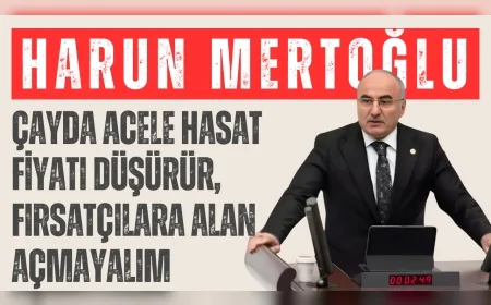AK Parti’li Harun Mertoğlu: “Çayda acele hasat fiyatı düşürür, fırsatçılara alan açmayalım”