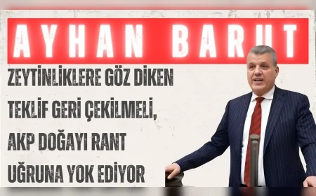 CHP'li Ayhan Barut: “Zeytinliklere göz diken teklif geri çekilmeli, AKP doğayı rant uğruna yok ediyor”