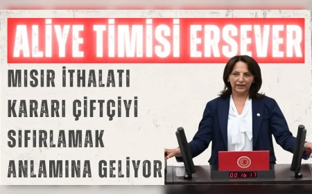 CHP Ankara Milletvekili Aliye Timisi Ersever: "Mısır ithalatı kararı çiftçiyi sıfırlamak anlamına geliyor"