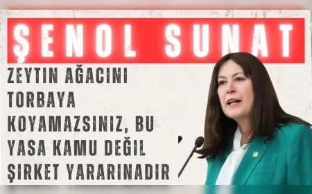 İYİ Parti’li Şenol Sunat: “Zeytin ağacını torbaya koyamazsınız, bu yasa kamu değil şirket yararınadır”