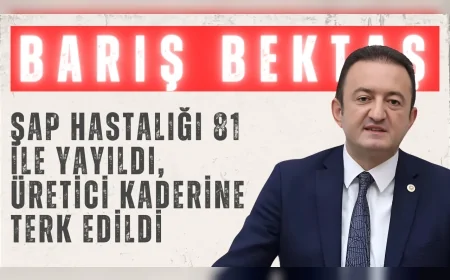 CHP’li Barış Bektaş: "Şap hastalığı 81 ile yayıldı, üretici kaderine terk edildi"