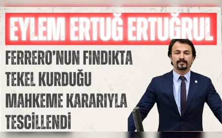 CHP’li Eylem Ertuğrul: "Ferrero’nun fındıkta tekel kurduğu mahkeme kararıyla tescillendi"