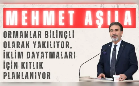 Yeniden Refah Partili Mehmet Aşıla: “Ormanlar bilinçli olarak yakılıyor, iklim dayatmaları için kıtlık planlanıyor”