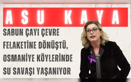 CHP’li Asu Kaya: “Sabun Çayı çevre felaketine dönüştü, Osmaniye köylerinde su savaşı yaşanıyor”