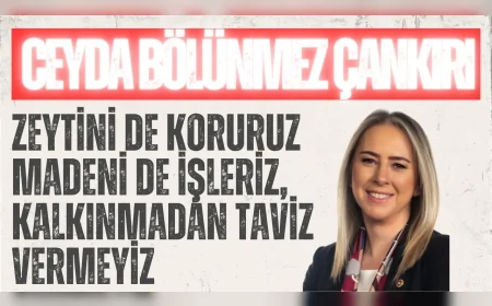 AK Parti’li Ceyda Bölünmez Çankırı: “Zeytini de koruruz madeni de işleriz, kalkınmadan taviz vermeyiz”