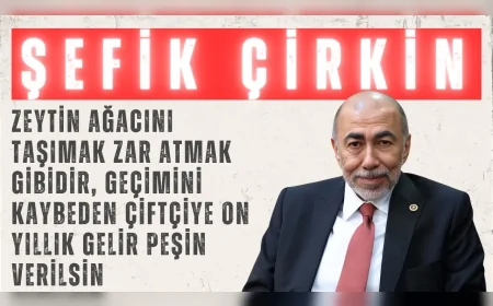 İYİ Parti’li Şefik Çirkin: “Zeytin ağacını taşımak zar atmak gibidir, geçimini kaybeden çiftçiye on yıllık gelir peşin verilsin”