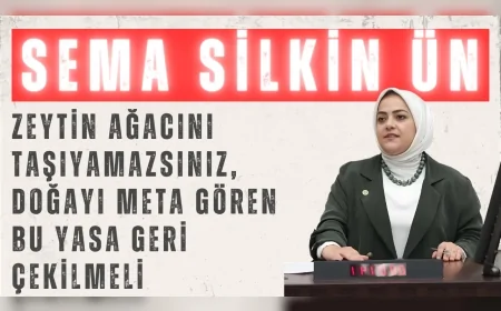 Gelecek Partili Sema Silkin Ün: “Zeytin ağacını taşıyamazsınız, doğayı meta gören bu yasa geri çekilmeli”