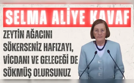 CHP’li Selma Aliye Kavaf: “Zeytin ağacını sökerseniz hafızayı, vicdanı ve geleceği de sökmüş olursunuz”