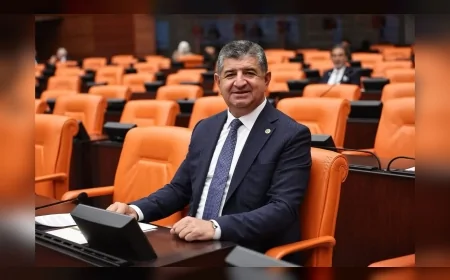 CHP Milletvekili Cavit Arı: "Nar bahçeleri GES projelerine feda edilemez"