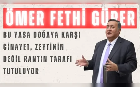 CHP’li Ömer Fethi Gürer: “Bu yasa doğaya karşı cinayet, zeytinin değil rantın tarafı tutuluyor”