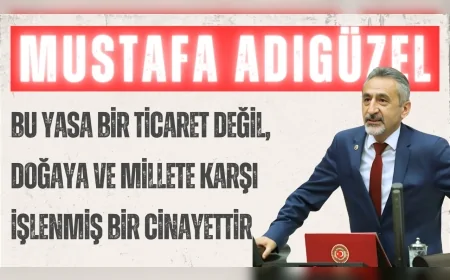 CHP’li Mustafa Adıgüzel: “Bu yasa bir ticaret değil, doğaya ve millete karşı işlenmiş bir cinayettir”