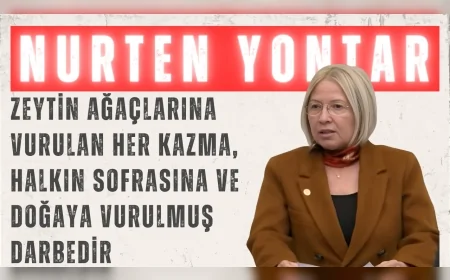 CHP’li Nurten Yontar: “Zeytin ağaçlarına vurulan her kazma, halkın sofrasına ve doğaya vurulmuş darbedir”