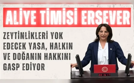 CHP’li Aliye Timisi Ersever: "Zeytinlikleri yok edecek yasa, halkın ve doğanın hakkını gasp ediyor"
