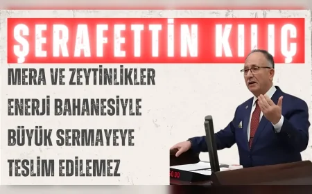 Saadet Partili Şerafettin Kılıç: “Mera ve zeytinlikler enerji bahanesiyle büyük sermayeye teslim edilemez”