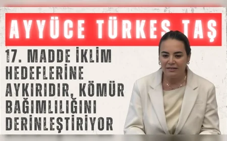 Ayyüce Türkeş Taş: “17. madde iklim hedeflerine aykırıdır, kömür bağımlılığını derinleştiriyor”