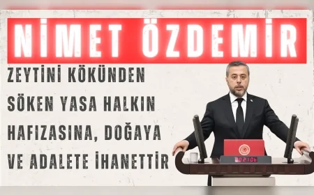 CHP’li Nimet Özdemir: “Zeytini kökünden söken yasa halkın hafızasına, doğaya ve adalete ihanettir”