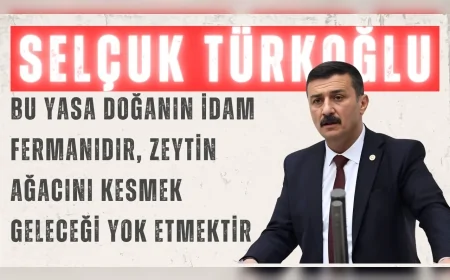 İYİ Partili Selçuk Türkoğlu: “Bu yasa doğanın idam fermanıdır, zeytin ağacını kesmek geleceği yok etmektir”