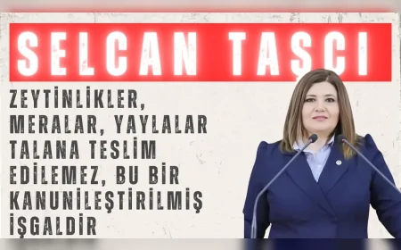 İYİ Partili Selcan Taşcı: “Zeytinlikler, meralar, yaylalar talana teslim edilemez, bu bir kanunileştirilmiş işgaldir”