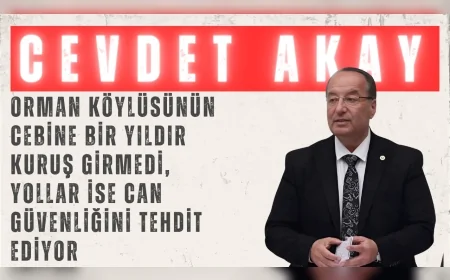 CHP’li Akay: “Orman köylüsünün cebine bir yıldır kuruş girmedi, yollar ise can güvenliğini tehdit ediyor”