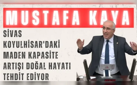 Saadet Partili Kaya: "Sivas Koyulhisar'daki maden kapasite artışı doğal hayatı tehdit ediyor"