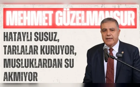 CHP Hatay Milletvekili Güzelmansur: "Hataylı susuz, tarlalar kuruyor, musluklardan su akmıyor"