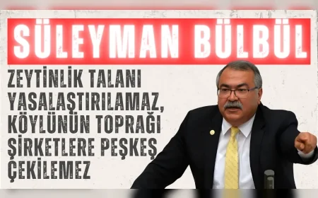CHP'li Süleyman Bülbül: "Zeytinlik talanı yasalaştırılamaz, köylünün toprağı şirketlere peşkeş çekilemez"