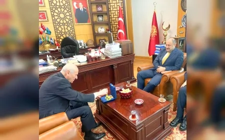 Bağımsız Başkan Gülpınar'dan Bahçeli'ye ziyaret, MHP iddiaları yeniden gündemde