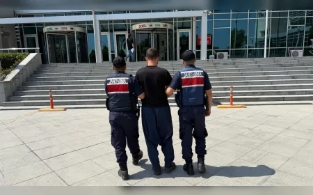 23 kişi gözaltına alındı, 4 kişi tutuklandı: Orman yangınlarında ihmaller zinciri