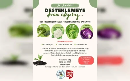 Milas Belediyesi’nden Üreticiye Kışlık Sebze Fidesi Desteği: Yüzde 50 Hibeli Başvurular Başlıyor
