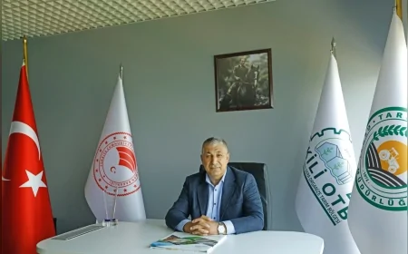 Dikili Organize Tarım Bölgesi’ne Dünya Bankası’ndan 65 milyon dolarlık destek