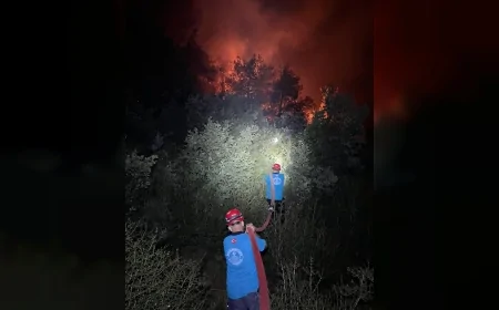 Türkiye Diyanet Vakfı, orman yangınlarıyla mücadelede arama kurtarma ve insani yardım ekipleriyle sahada