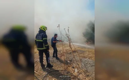 Aydın'da 2 Günde 55 Yangın: Büyükşehir İtfaiyesi Yoğun Mesaiyle Müdahale Etti