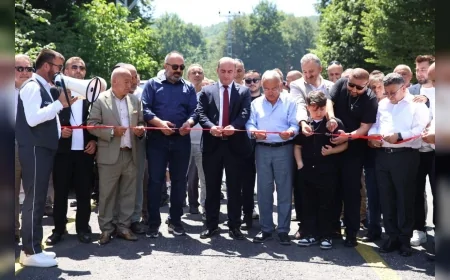 Aybastı Pelitözü-Tokat yolu 6 km asfaltla ulaşıma açıldı, yılların ulaşım sorunu sona erdi
