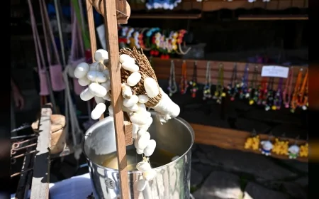 Hatay’dan Altınköy’e Uzanan Umut: İpek Kozasıyla Yeniden Ayağa Kalkış Hikayesi