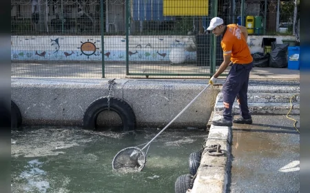 Mersin Büyükşehir Belediyesi deniz temizliği için tam zamanlı çalışıyor: Yılda 120 ton atık toplanıyor