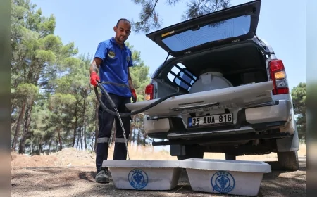 Buca Belediyesi ormanlık alanlara beton suluk yerleştirdi, sıcaklarda can dostlar unutulmadı