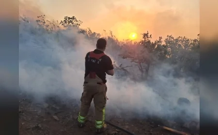 Manisa'nın Akhisar ilçesindeki orman yangını büyümeden kontrol altına alındı, yerleşim alanları ve hayvanlar son anda kurtarıldı
