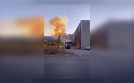 Karadeniz Ereğli Topçalı Mahallesi'nde yangın yerleşim alanlarına ulaştı, Türkiye genelinde çok sayıda ilde alevlerle mücadele sürüyor